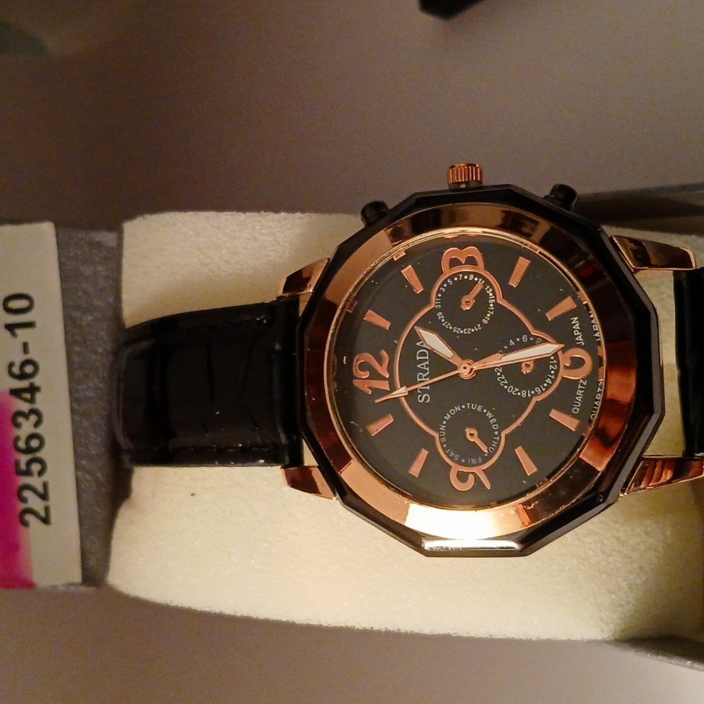 2256346-10. STRADA Unisex ION Pltd Stainless Steel Watch